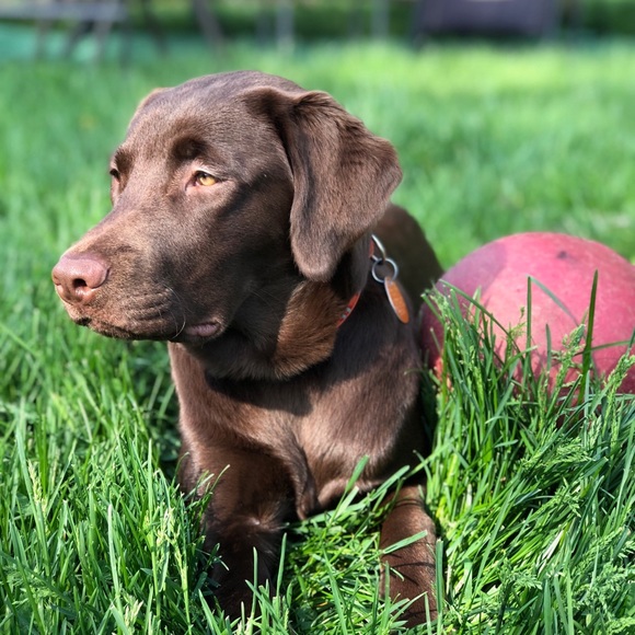 Meet your Posher, DaBronxBoy - Picture 3 of 4